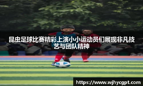 金年会