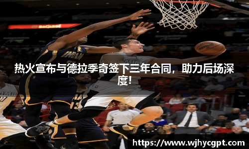 热火宣布与德拉季奇签下三年合同，助力后场深度!